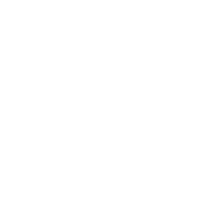 Icono iDEA Font_growth_white